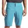 Gulf Teal