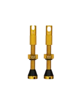Peaty's Chris King Edition MK2 Tubeless Ventil 2er-Set Peaty's Chris King Edition MK2 Tubeless Ventil 2er-Set