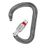 Petzl William Screw Lock Karabinkrok, Silver, One Size