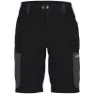 Pinewood Finnveden Trail Hybrid Shorts