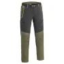 Mid Green/D.Anthraci