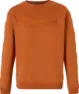 Pinewood Men's Värnamo Logo Sweater