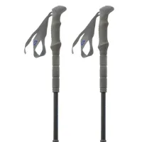 Pinguin Carbon Fl Foam Stavar