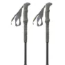 Pinguin Carbon Fl Foam Stavar