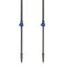 Pinguin Carbon Fl Foam Stavar