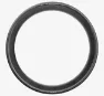 Pirelli P ZERO Race TLR Däck