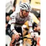 Pissei Replica World Champion Tadej Pogacar 2024 Uae Team Emirates Korta ärmar Cykeltröja