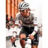 Pissei Replica World Champion Tadej Pogacar 2024 Uae Team Emirates Korta ärmar Cykeltröja