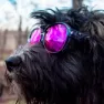 Pit Viper The Exciters Smoke Show Polariserade Solglasögon, Clear black, Pink Mirror/CAT3