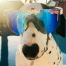 Pit Viper The Originals Absolute Solglasögon, White, Blue/CAT3