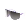 Violet Quartz with Black Lenses