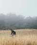 POC Pure-Lite Splash Cykeljacka