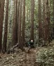 POC Resistance Pro DH Cykelhandskar