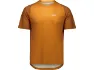 Bauxite brown 1