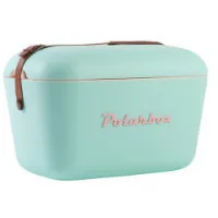 Polar Pol20lmint 20l Styv Bärbar Kylbox Polar Pol20lmint 20l Styv Bärbar Kylbox