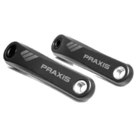Praxis Works Specialized Carbon E-bike Vevarm
