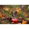Primus Firestick Stove Ti Campingkök, One size
