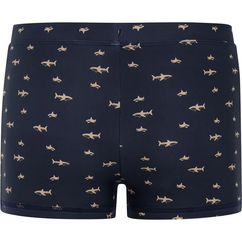 Protest Ivar Badbyxor Boxer male, Night skyblue navy, 176cm Protest Ivar Badbyxor Boxer male, Night skyblue navy, 176cm