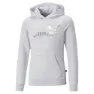 Puma Ess+ Nova Shine Logo Tröja male