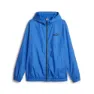 Racing blue