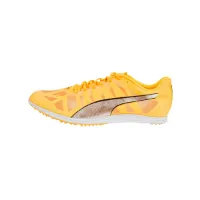 Puma EvoSpeed Distance 10 Shoes Puma EvoSpeed Distance 10 Shoes