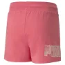 Puma Power Summer Hi Shorts male, Loveable