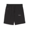 Puma Reflective Shorts male