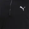Puma Run Favorite 1/4 Zip T-shirt Med Lång ärm male, Puma black