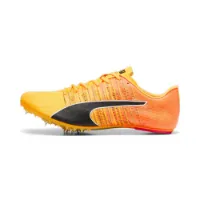 Puma Teamwear Evospeed Future 6 Löparskor Med Spikar male Puma Teamwear Evospeed Future 6 Löparskor Med Spikar male