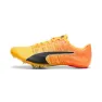 Puma Teamwear Evospeed Future 6 Löparskor Med Spikar male