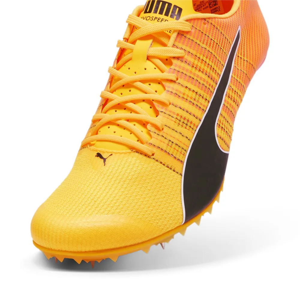 Puma Teamwear Evospeed Future 6 Löparskor Med Spikar male Puma Teamwear Evospeed Future 6 Löparskor Med Spikar male