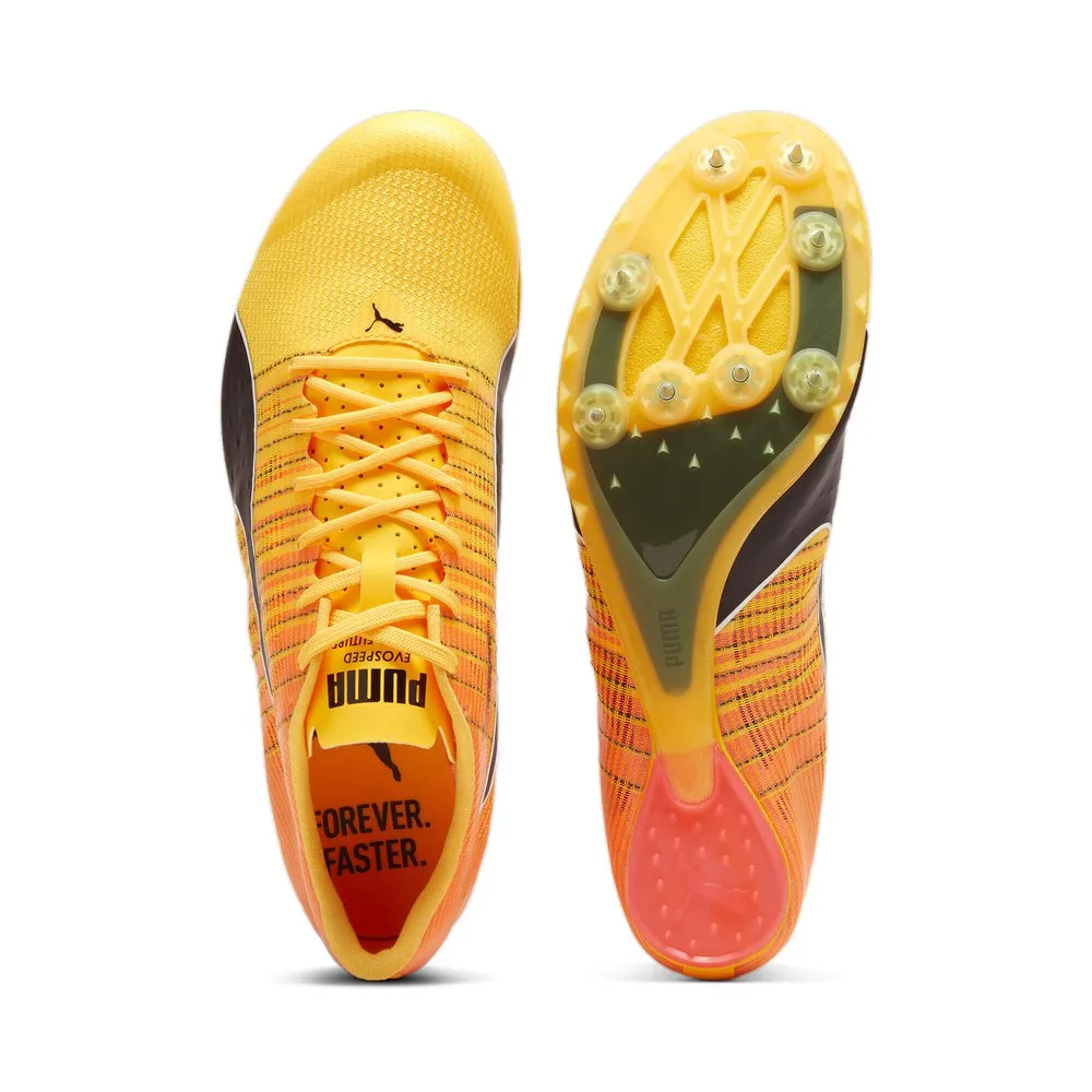 Puma Teamwear Evospeed Future 6 Löparskor Med Spikar male Puma Teamwear Evospeed Future 6 Löparskor Med Spikar male