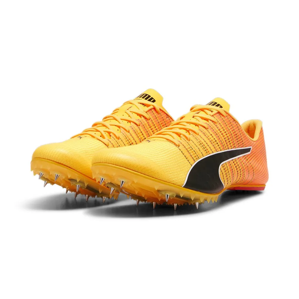 Puma Teamwear Evospeed Future 6 Löparskor Med Spikar male Puma Teamwear Evospeed Future 6 Löparskor Med Spikar male