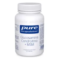 Pure Encapsulations Glucosamine Chondroitine + Msm Kapslar 60 Enheter