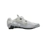 Ice Grey