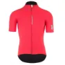 Q36.5 Dottore Pro Short Sleeve Jersey