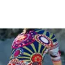Q36.5 G1 Korta ärmar Cykeltröja