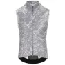 Grisaille blue