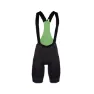 Q36.5 Gregarius Pro Bib Shorts, Black Green
