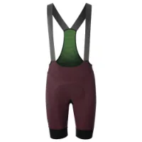 Q36.5 Gregarius Ultra Bib Shorts Q36.5 Gregarius Ultra Bib Shorts