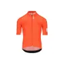Gregarius Pro Signature Orange