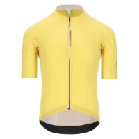 Q36.5 Jersey Short sleeve Dottore Pro Q36.5 Jersey Short sleeve Dottore Pro