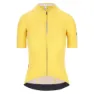 Naples Yellow