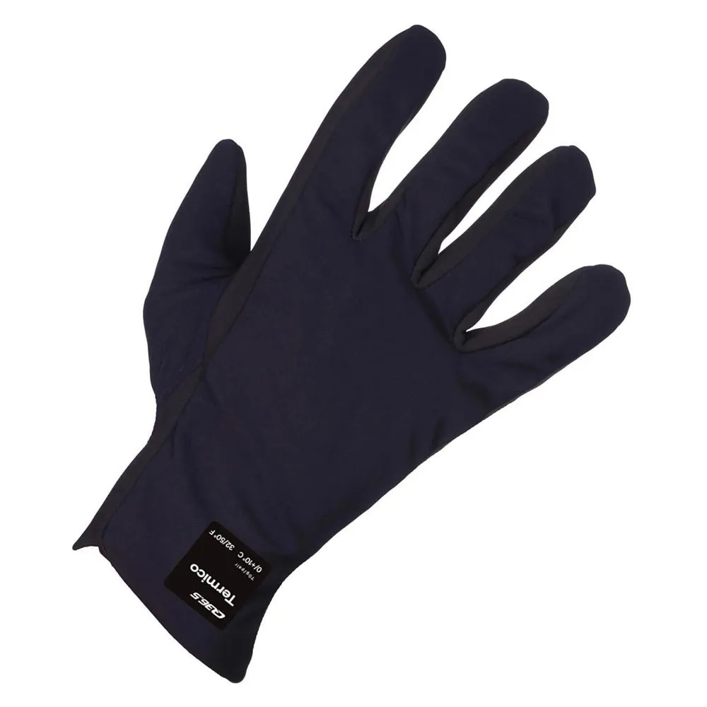 Q36.5 Winter Handskar