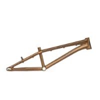 Radio Raceline Quartz Pro 2021 Bmx-ram