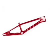 Radio Raceline Terra Disc Pro Xxl Bmx-ram Radio Raceline Terra Disc Pro Xxl Bmx-ram