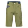 Rafiki Gnar Shorts