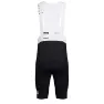 Rapha Men's Pro Team Regular Bib Shorts
