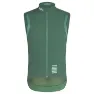 MSG Dark Green/Pale Green