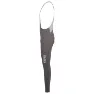 Rapha Pro Team Winter Bib Tights with Pad II, KSC Mushroom/Silver